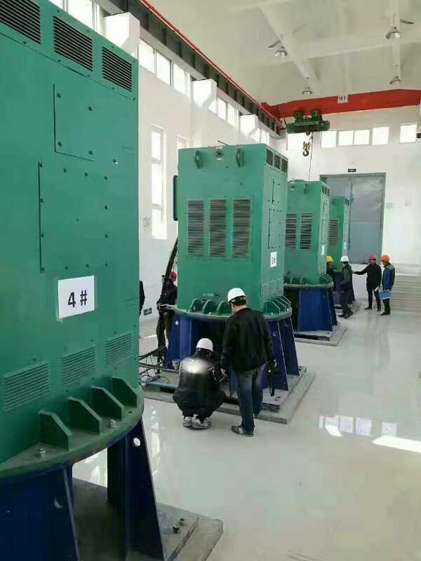 YKS5602-4某污水处理厂使用我厂的立式高压电机安装现场