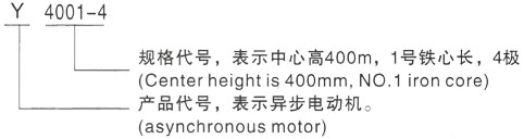 西安泰富西玛Y系列(H355-1000)高压YKS5602-4三相异步电机型号说明